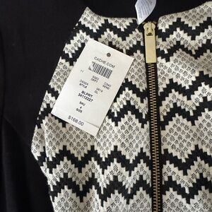 Cache Chevron Pattern Dress with Gold Zipper